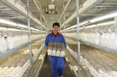 富農(nóng) 興農(nóng) 強(qiáng)農(nóng) 惠農(nóng)!來看這張北辰現(xiàn)代農(nóng)業(yè)發(fā)展成績單~