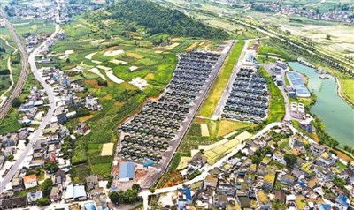 工廠化養(yǎng)殖的對(duì)蝦長(zhǎng)啥樣