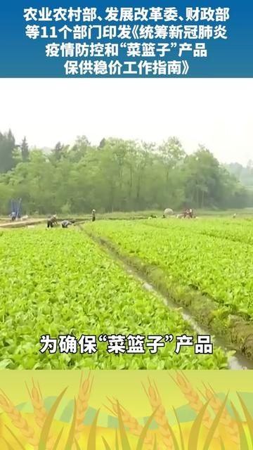 農業(yè)農村部 發(fā)展改革委 財政部等11個部門印發(fā)統(tǒng)籌新冠肺炎疫情防控和 菜籃子 產品保供穩(wěn)價工作指南