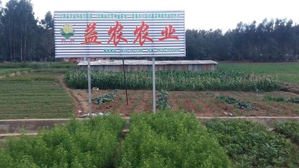 云南楚雄益農農業(yè)科技開發(fā)