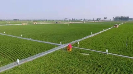 農村致富新思路,挖掘農村產業(yè)潛力,打造特色農業(yè)產業(yè)鏈