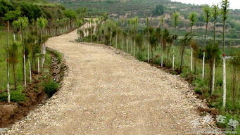 張家川縣農(nóng)業(yè)綜合開發(fā)項(xiàng)目開發(fā)出了 金山銀山