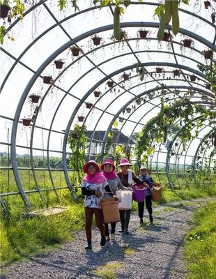 勇當鄉(xiāng)村振興“偵察兵”“先鋒隊”——瀏陽市國家級田園綜合體建設試點紀實