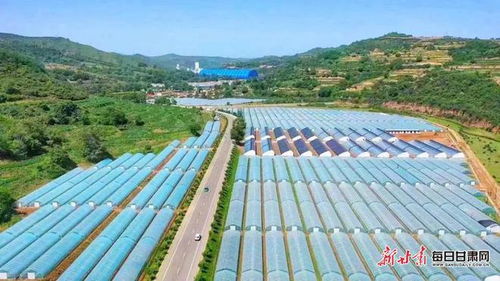 現(xiàn)代農(nóng)業(yè)蓬勃發(fā)展 崇信打造全產(chǎn)業(yè)鏈蔬菜產(chǎn)業(yè)示范區(qū)