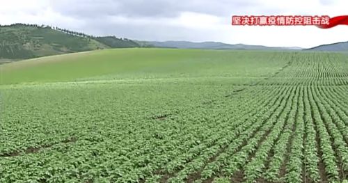 構筑特色農(nóng)業(yè)新優(yōu)勢，以產(chǎn)業(yè)發(fā)展促鄉(xiāng)村振興