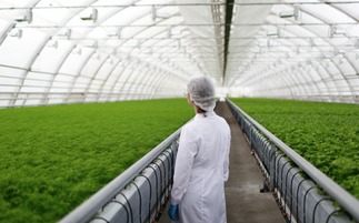 有機農業發展緩慢的深層原因與挑戰