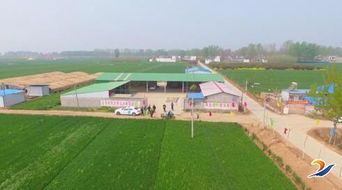 發展新型農業，帶動村民致富——農業開發的新路徑