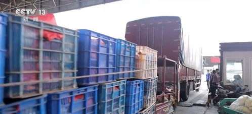 一季度農業農村經濟實現開門穩開門紅，發展勢頭持續向好