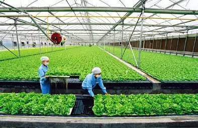 2017下半年這10個農業項目補貼不能再錯過！