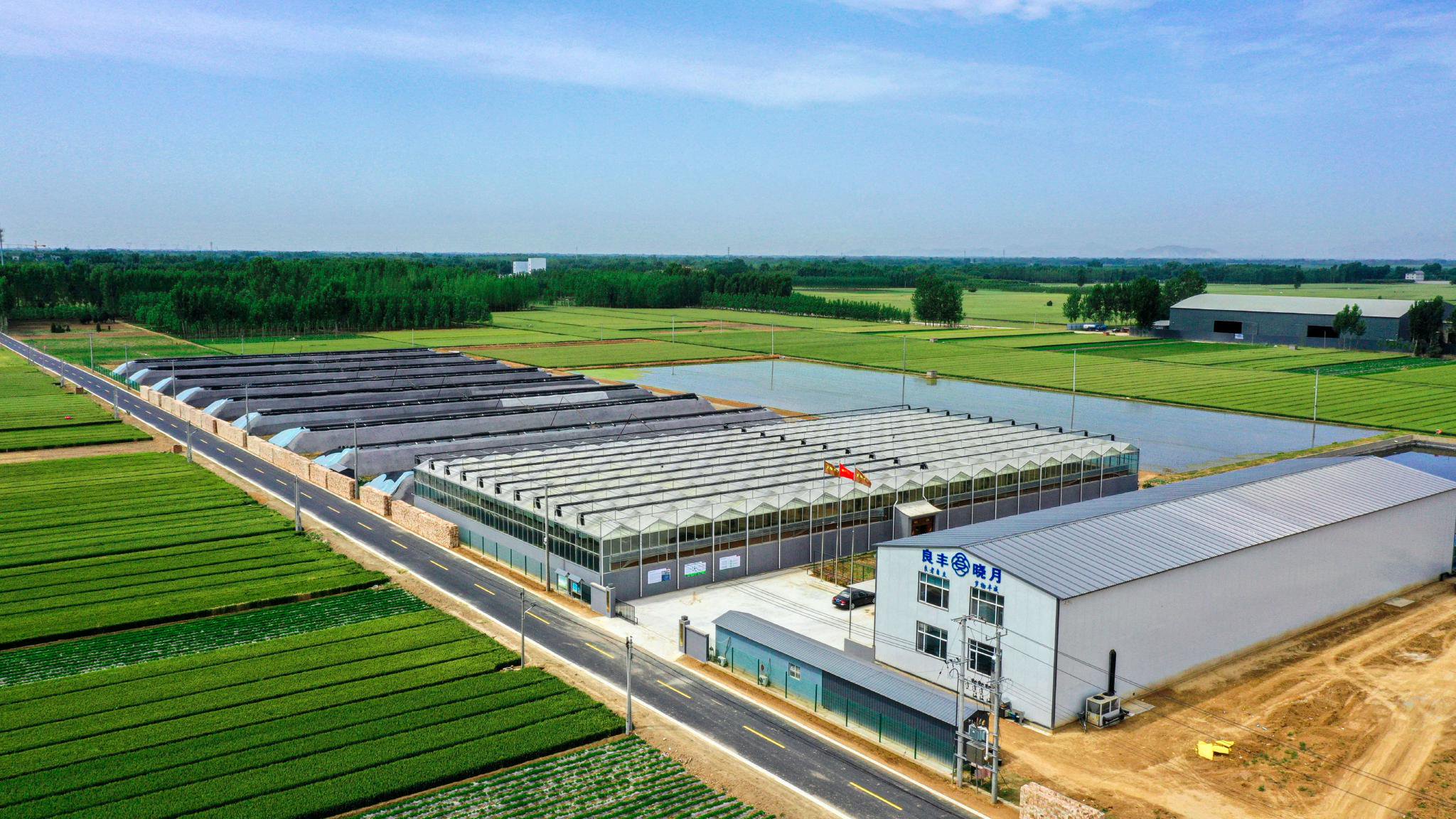 點‘綠’成金 跨界種養繪就農業開發新豐景