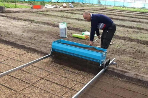 責任鑄就誠信，匠心滋養沃土——記興安盟嶺南香農產品開發有限責任公司的農業開發之路